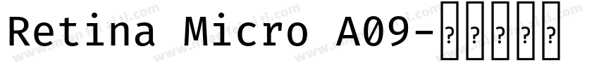 Retina Micro A09字体转换